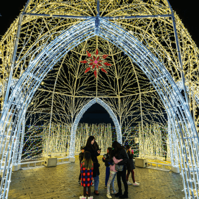Original Story: Santa's Magic Timepiece. The World's Largest Holiday Light Maze