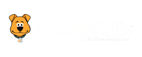 Best holiday events in North America