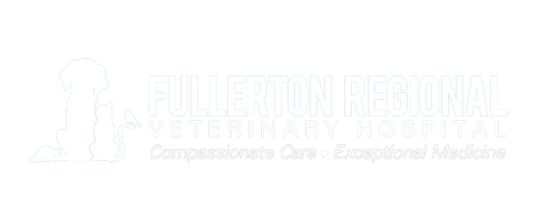 Best holiday events in North America