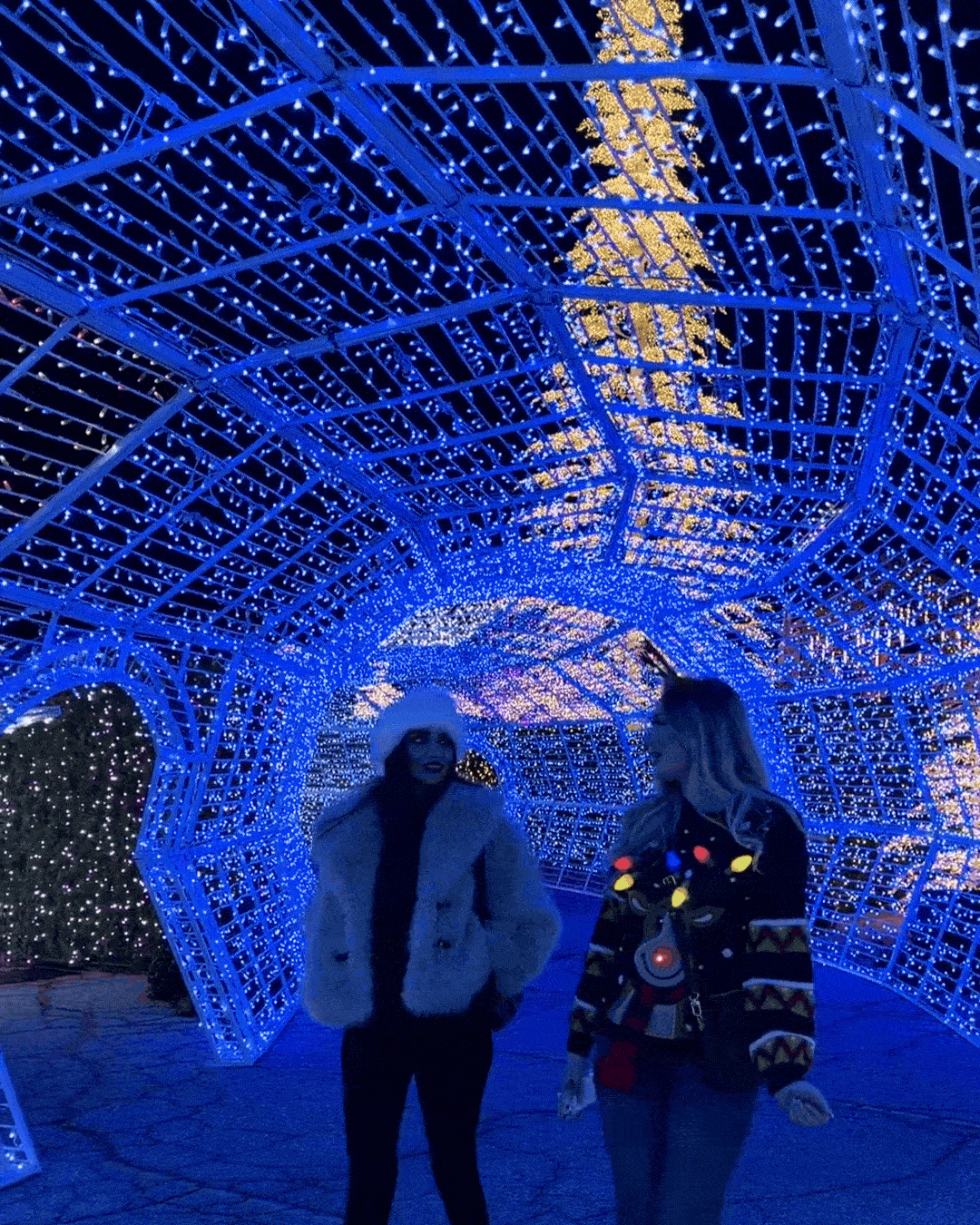 Best winter events - Moments at Enchant