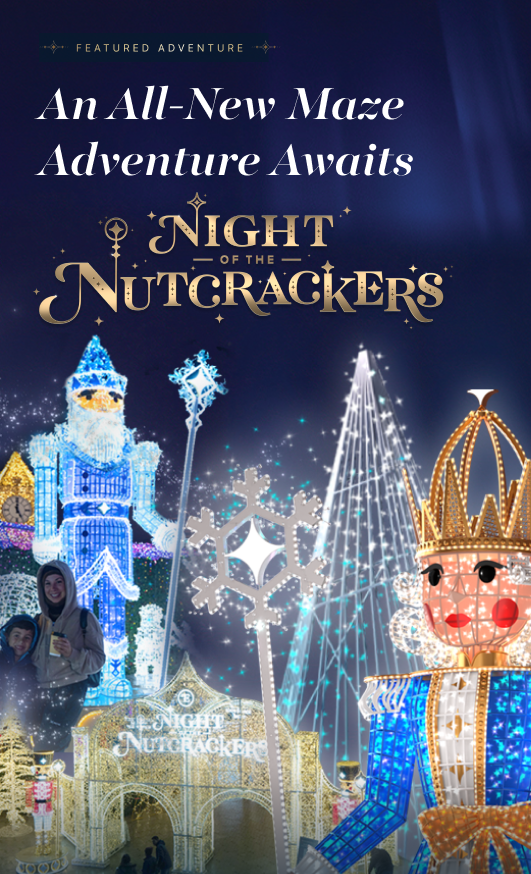 Enchant St. Petersburg is back in 2026