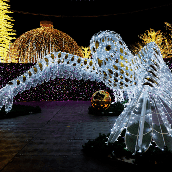 Children walking through glowing light tunnels at Enchant.
